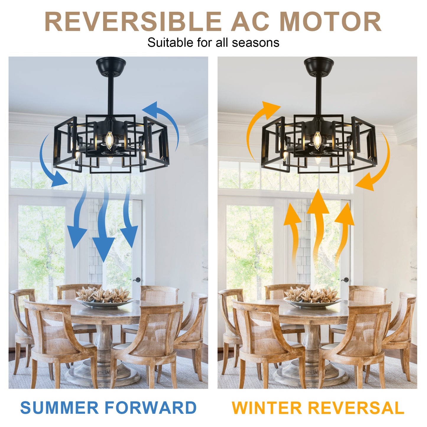 DC2029-19.69" Classic Reversible Ceiling Fan with Remote and 4 Lights, DC Motor 6 Speeds Ceiling Fan
