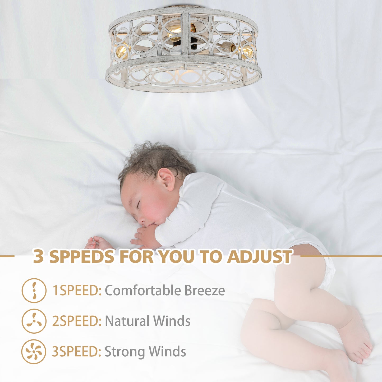 Amaranta 19'' Dimmable Caged Ceiling Fan with Light Kit and Remote