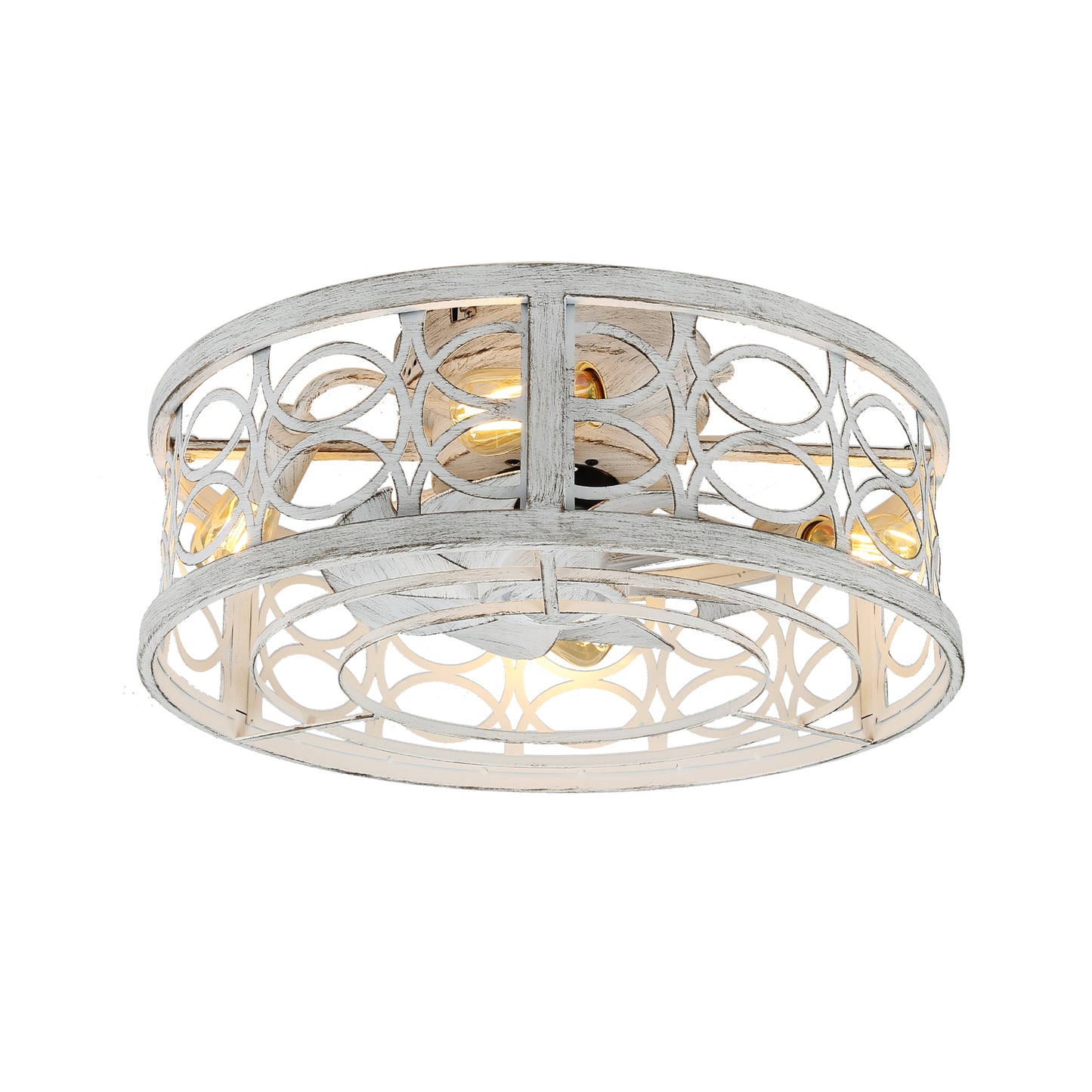 Amaranta 19'' Dimmable Caged Ceiling Fan with Light Kit and Remote