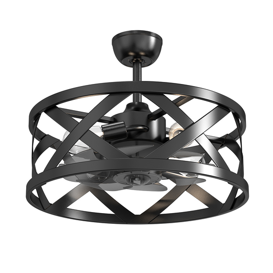 24" Fandelier Ceiling Fan with Lighting 0806