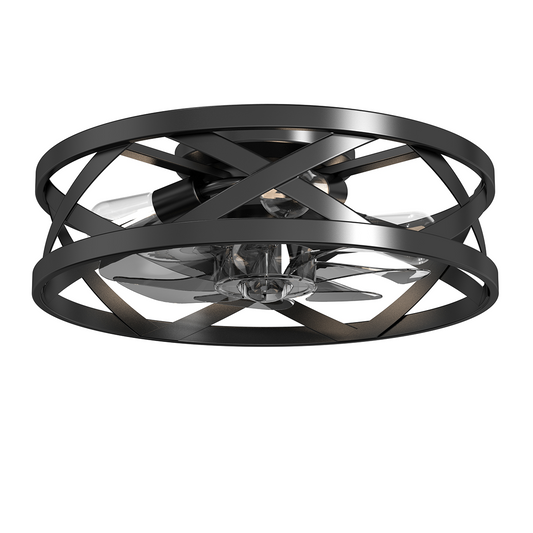 24" Fandelier Ceiling Fan with Lighting 0807