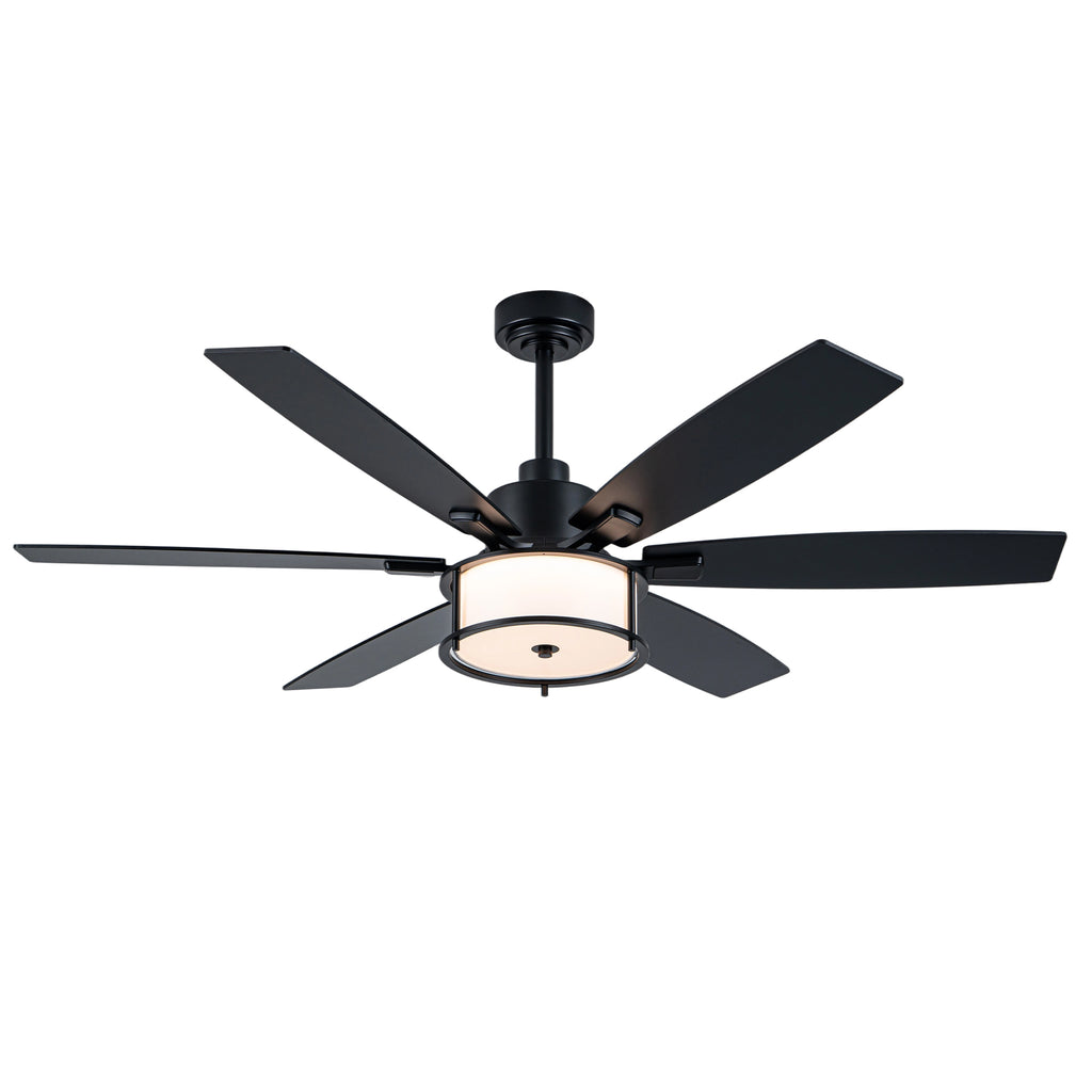 60" Black Farmhouse Caged Ceiling Fan with LED Light & Remote, 6-Speed DC Motor