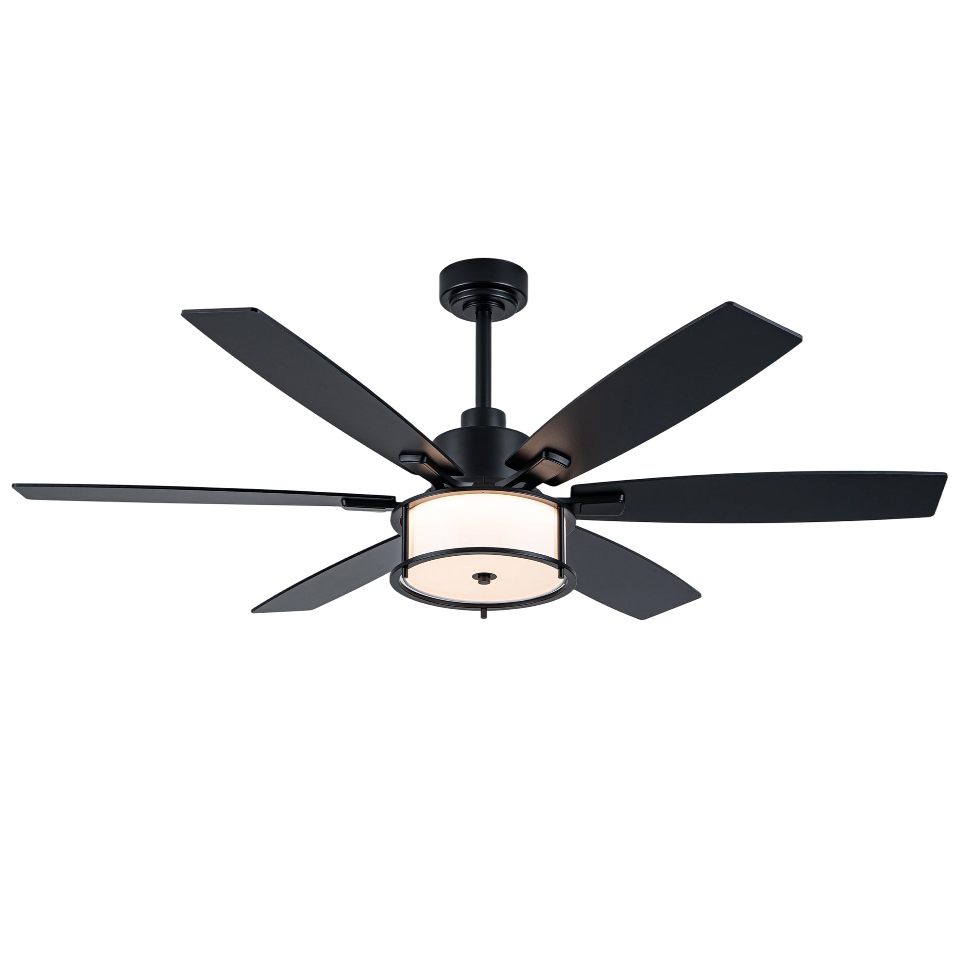 60" Black Farmhouse Caged Ceiling Fan with LED Light & Remote, 6-Speed DC Motor