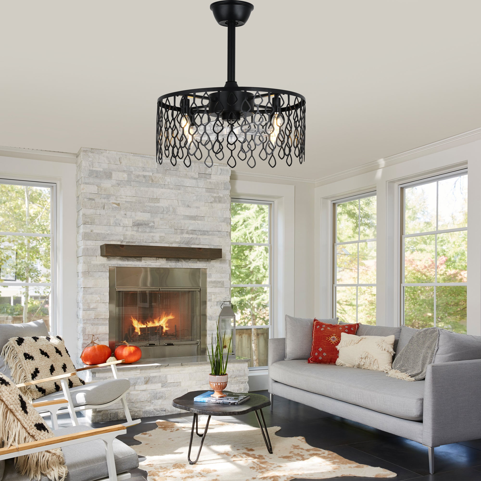 19 Inch Modern Black Drum Caged Ceiling Fan with Lights and Remote, 6 Speeds DC Motor Reversible Bladeless Fandelier Ceiling Fan