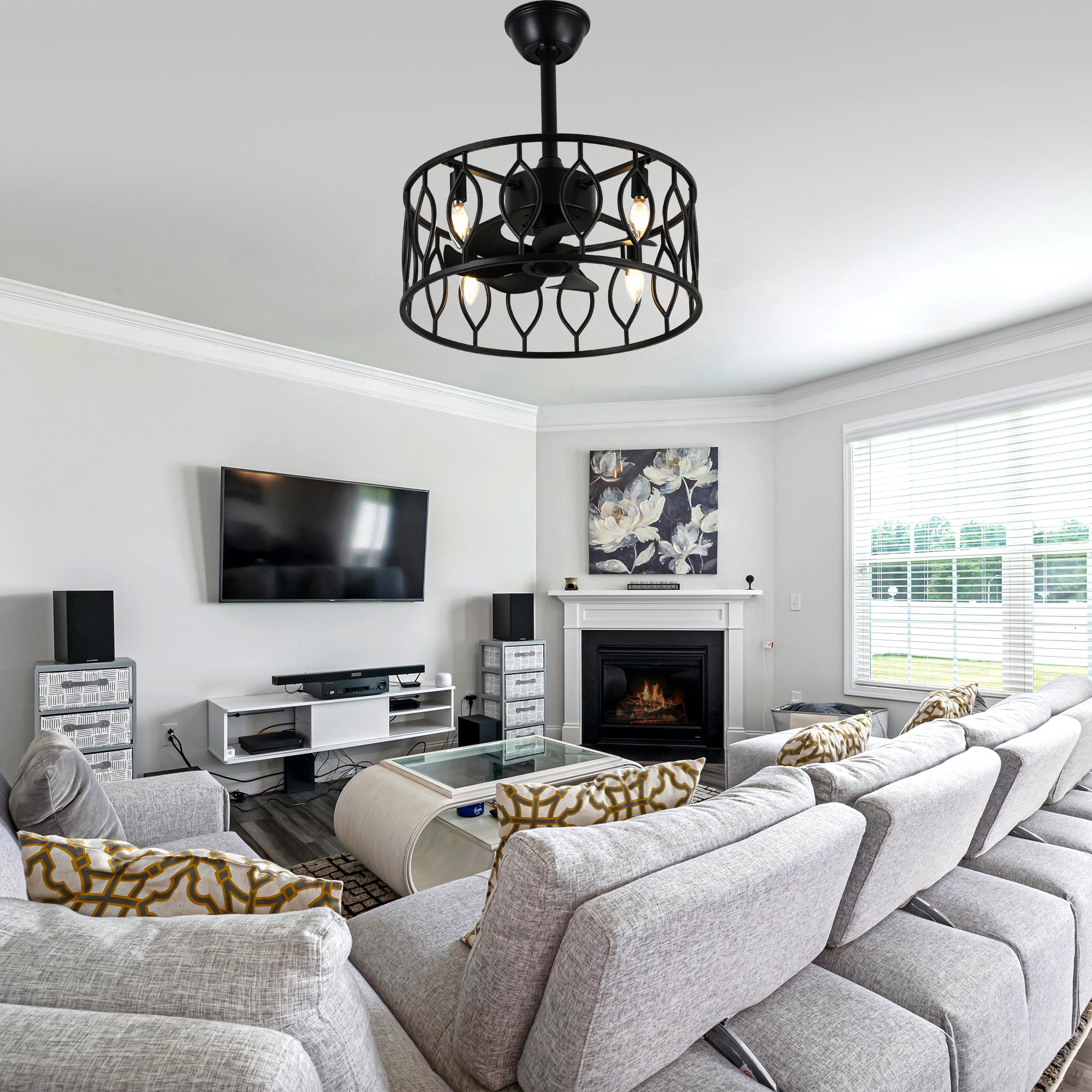 19 Inch Modern Black Caged Ceiling Fan with Lights and Remote Control, 6 Speeds DC Motor Fandelier Bladeless Ceiling Fan