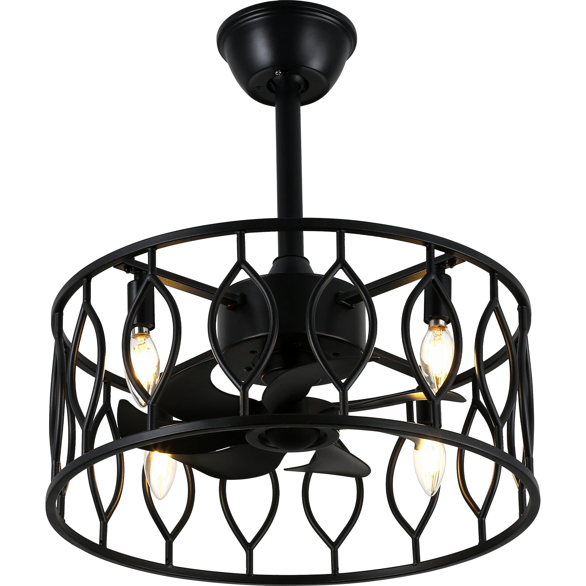 19 Inch Modern Black Caged Ceiling Fan with Lights and Remote Control, 6 Speeds DC Motor Fandelier Bladeless Ceiling Fan
