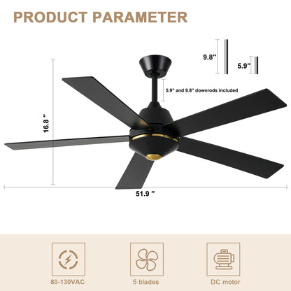 HWJ5219-52" 5 Wooden Blades Modern Reversible Ceiling Fan with Remote and LED Lights, Large Size 6-speed Ceiling Fan