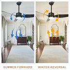 46 Inch Black Modern Ceiling Fan with LED Light and Remote, 6 Speeds 3-Blade DC Motor Reversible Ceiling Fan for Living Room