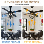 48 Inch Black Classic Ceiling Fan with Lights and Remote Control, 6 Speeds 4-Blade DC Motor Reversible Ceiling Fan for Living Room