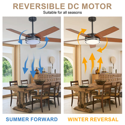 BellaDepot 52" Modern Contemporary Black or Chrome LED Ceiling Fan with Remote Control and Lights, Reversible 6 Speeds Ceiling Fan for All Seasons - DC5225-B/C