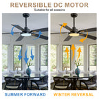 52 Inch Modern LED Ceiling Fan with Light and Remote,6 Speeds DC Motor Reversible Ceiling Fan for Living Room