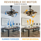 42 Inch Black Farmhouse Retractable Ceiling Fan with Lights and Remote Control, 6 Speeds Reversible Fandelier Ceiling Fan with DIY Shade