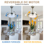 36 Inch Chrome Modern Retractable Ceiling Fan with LED Light and Remote, 6 Speeds DC Motor Bladeless Fandelier Ceiling Fan