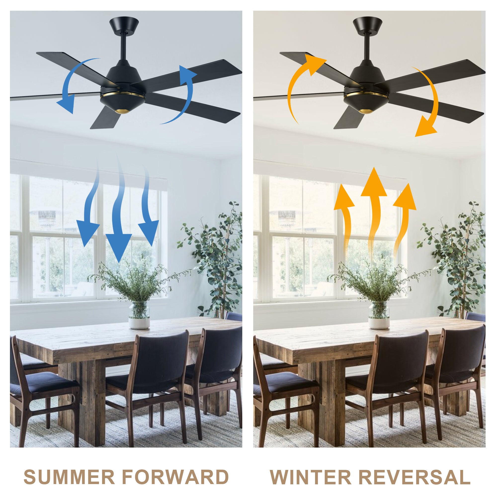 52 Inch Black Modern Ceiling Fan with Remote Control, 6 Speeds DC Motor 5-Blade Reversible Ceiling Fan for Living Room