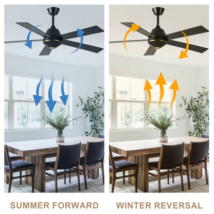 HWJ5219-52" 5 Wooden Blades Modern Reversible Ceiling Fan with Remote and LED Lights, Large Size 6-speed Ceiling Fan