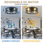 20 Inch Black Industrial Ceiling Fan with Light and Remote, 6-Speed DC Motor Bladeless Ceiling Flush Mount & Downrod Options