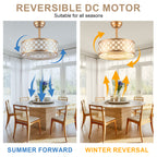 18 Inch Gold Drum Caged Ceiling Fan with Lights and Remote, 6 Speeds DC Motor Reversible Bladeless Fandelier Ceiling Fan