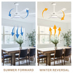 65 Inch Modern White Extra Large Ceiling Fan with LED Light and Remote, 6 Speeds DC Motor Reversible Ceiling Fan for Large Rooms