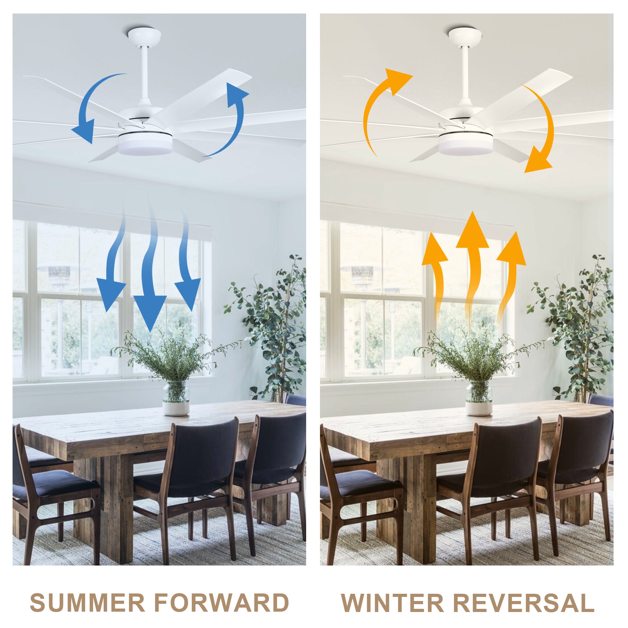 65 Inch Modern White Extra Large Ceiling Fan with LED Light and Remote, 6 Speeds DC Motor Reversible Ceiling Fan for Large Rooms