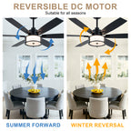 60 Inch Black Farmhouse Large Ceiling Fan with Dimmable 3CCT LED Light and Remote, 6 Speeds DC Motor Reversible Ceiling Fan for Large Rooms