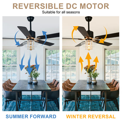 BellaDepot 52" Modern Black or Chrome Acrylic Shade Ceiling Fan with Remote Control, 5 Blades Standard Ceiling Fan with Lights - DC5222-B/C