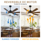 60 Inch 6-Blade Black Farmhouse Large Ceiling Fan with LED Lights and Remote Control, 6 Speeds Reversible Ceiling Fan