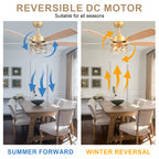 52 Inch Golden Modern Ceiling Fan with Lights and Remote Control, 6 Speeds DC Motor Reversible Ceiling Fan for Living Room