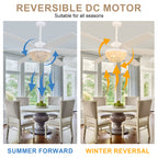 65 Inch White Bohemian  Ceiling Fan with Lights and Remote, 6 Speeds DC Motor Reversible Large Ceiling Fan for Living Room