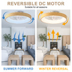 20 Inch Modern Smart Flush Mount Ceiling Fan with Dimmable LED Light, 6-Speed DC Motor Bladeless Ceiling Fan with Remote