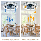 20 Inch Modern Flush Mount Ceiling Fan with LED Light Kit & Remote Control, 6 Speed DC Motor Reversible Ceiling Fan