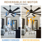 80 Inch Black Industrial Extra Large Ceiling Fan with LED Light and Remote, 6 Speeds DC Motor Reversible Ceiling Fan for Large Room