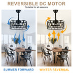 19 Inch Modern Black Caged Ceiling Fan with Lights and Remote Control, 6 Speeds DC Motor Fandelier Bladeless Ceiling Fan