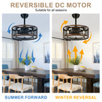 20 Inch Farmhouse Industrial Cage Ceiling Fan with Light and Remote, 6-Speed Reversible DC Motor Fandelier Bladeless Ceiling Fan