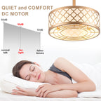 18 Inch Gold Drum Caged Ceiling Fan with Lights and Remote, 6 Speeds DC Motor Reversible Bladeless Fandelier Ceiling Fan