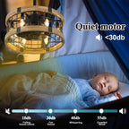 BD1812-BellaDepot 17.7" Cottage Metal Caged Reversible Ceiling Fan with Remote and 6 Lights, Wooden Ceiling Fan