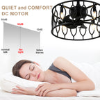 19 Inch Modern Black Caged Ceiling Fan with Lights and Remote Control, 6 Speeds DC Motor Fandelier Bladeless Ceiling Fan