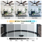 60 Inch Black Farmhouse Large Ceiling Fan with Dimmable 3CCT LED Light and Remote, 6 Speeds DC Motor Reversible Ceiling Fan for Large Rooms