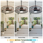 24 Inch Farmhouse Outdoor Waterproof Ceiling Fan with LED Light and Remote, 6 Speeds Black Plug In Caged Outdoor Fan Light