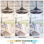 HW2001-BellaDepot 20" Compact Outdoor Caged Ceiling Fan with Remote Control, Waterproof Fan with LED Lights