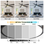 52 Inch Modern LED Ceiling Fan with Light and Remote,6 Speeds DC Motor Reversible Ceiling Fan for Living Room