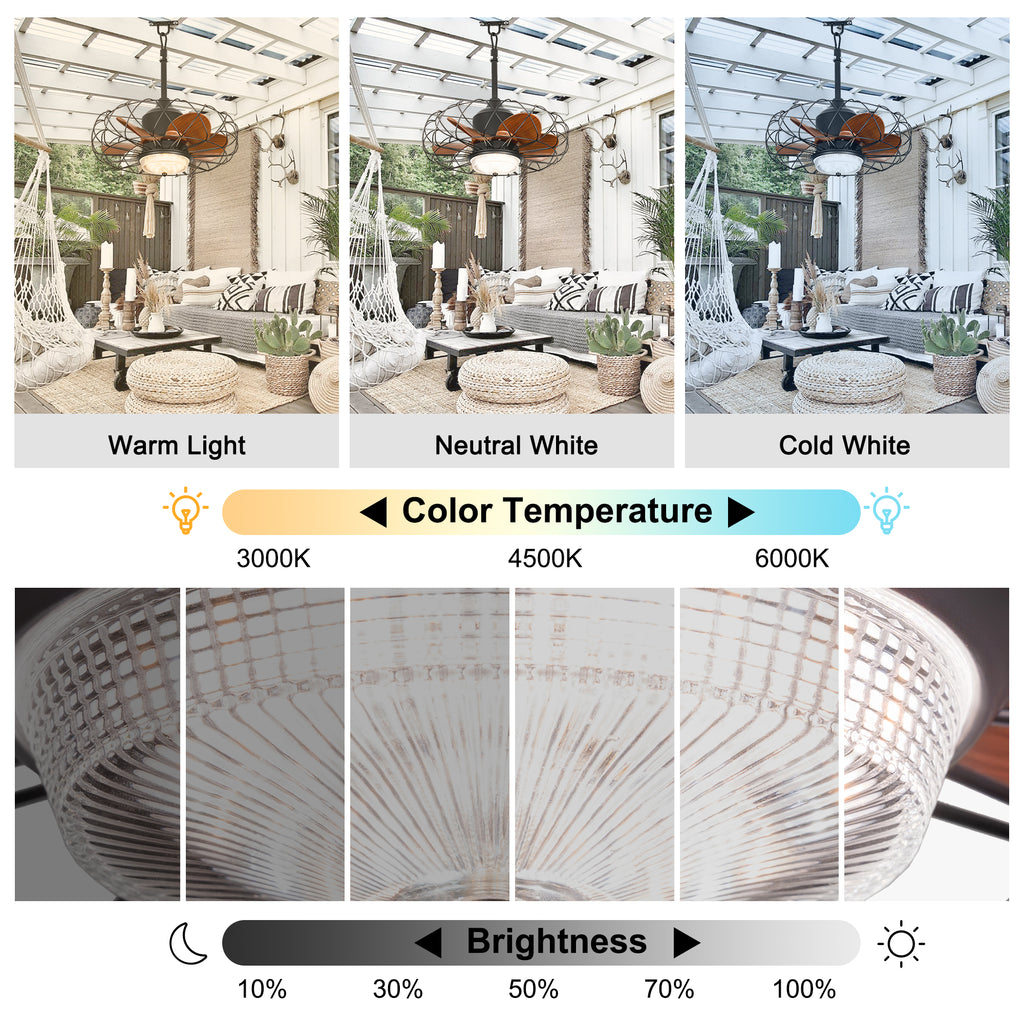 21 Inch Outdoor Caged Ceiling Fan with LED Light and Remote & APP Control, 6-Speed Reversible Modern Waterproof Industrial Ceiling Fan for Patio