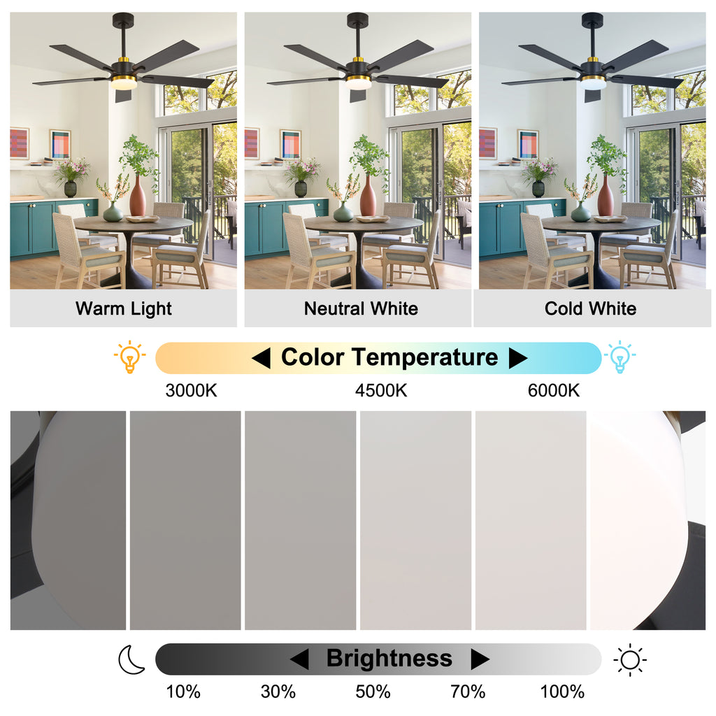 52 Inch Modern Ceiling Fan with LED Light and Remote Control, 6 Speeds Quiet DC Motor Black and Gold Ceiling Fan for Living Room