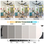 52 Inch Modern Ceiling Fan with LED Light and Remote Control, 6 Speeds Quiet DC Motor Black and Gold Ceiling Fan for Living Room