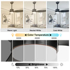 46 Inch Black Modern Ceiling Fan with LED Light and Remote, 6 Speeds 3-Blade DC Motor Reversible Ceiling Fan for Living Room
