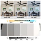 59 Inch Modern Black Ceiling Fan with Dimmable LED Light and Remote Control, 6 Speeds Reversible Ceiling Fan for Large Room