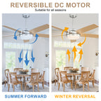 52 Inch Modern Black/Chrome Ceiling Fan with Dimmable LED Lights and Remote Control, 6 Speeds DC Motor Reversible Ceiling Fan for Large Room