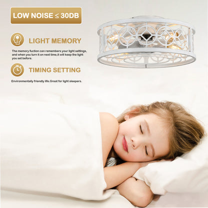 BD2072- 19'' Low Profile Caged Ceiling Fan with Dimmable Light and Remote