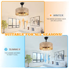 18 Inch Bohemian Rattan Caged Ceiling Fan with Lights and Remote Control, 7-Blade Reversible Bladeless Fandelie Ceiling Fan