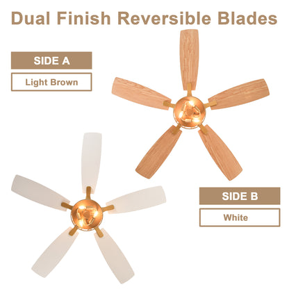 DC255201-G-BellaDepot 52" Golden Light Luxury Modern Style Ceiling Fan with Silver Blades, Remote-controlled 6 Speeds Fan with Lights for Large Room