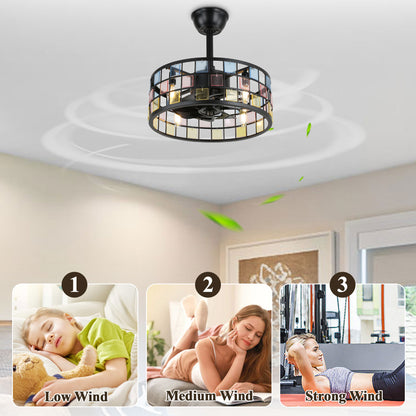 BD1813-17.7 in. Metal Caged Reversibe Ceiling Fan with Lights and Remote